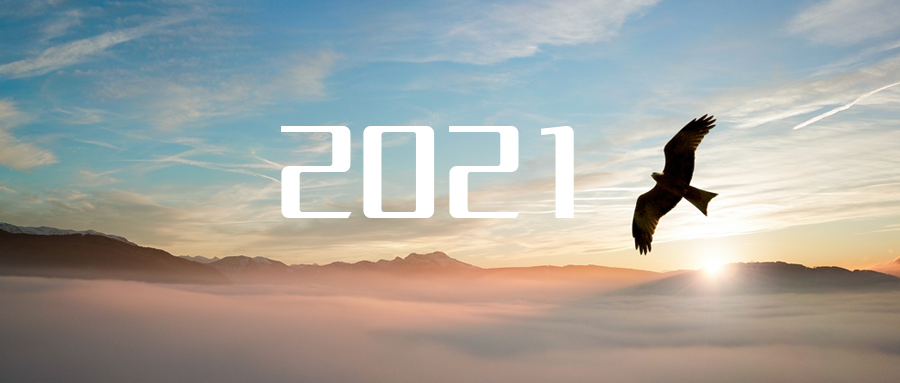 乘“峰”而上，智“盈”未来 ——2021年米兰·(milan)中国环境高级资深副总裁新年开工动员